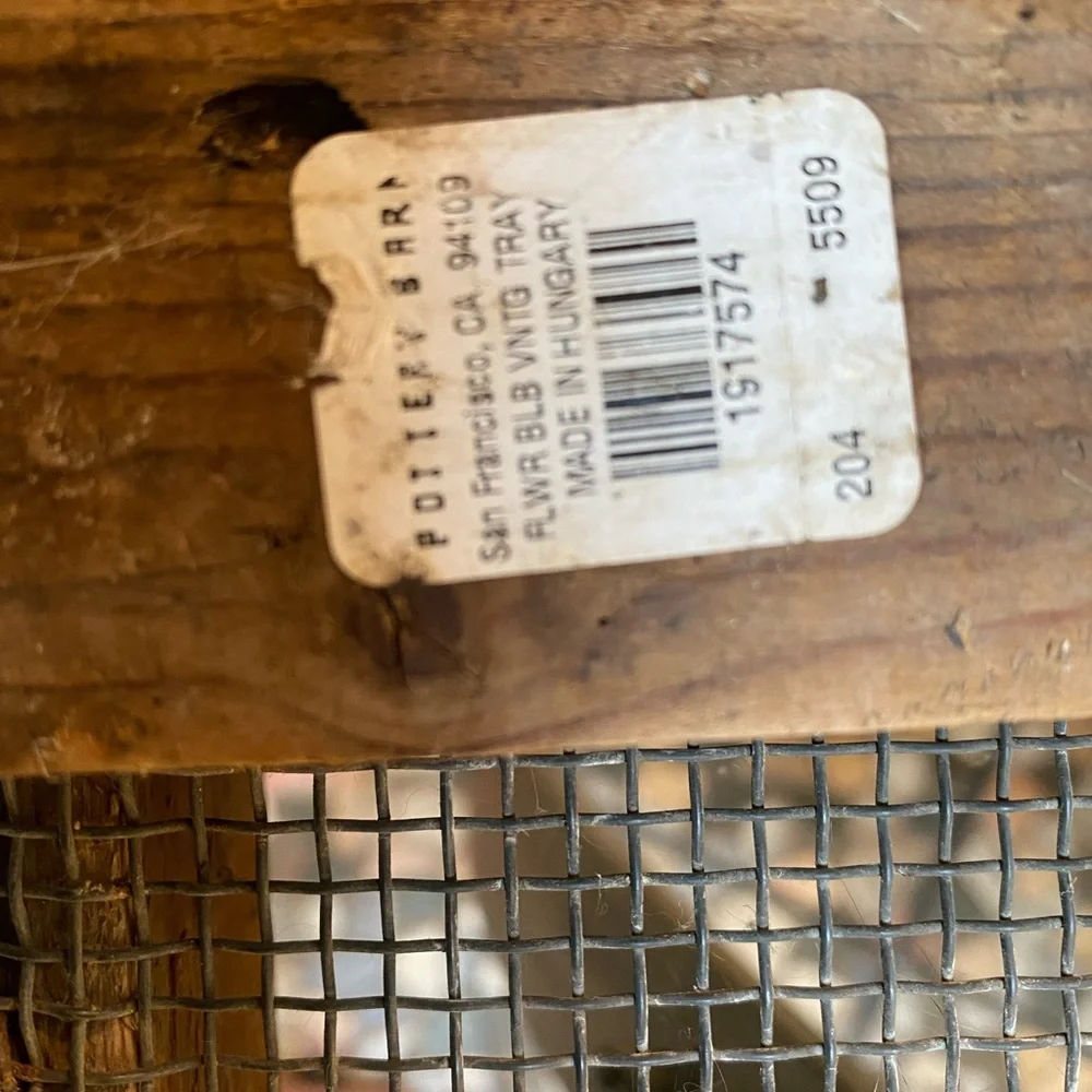 NWT Pottery Barn Vintage Bulb Trays